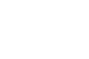 White_nextpage_logo__clear_background-1